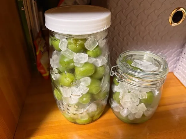 見守りから終末期まで　幅広い看護を提供　名古屋近郊　訪問看護ステーション　ベル