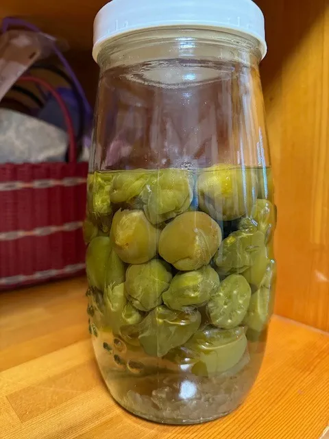 訪問看護を受けるなら　春日井市に開設　訪問看護ステーション ベルです！