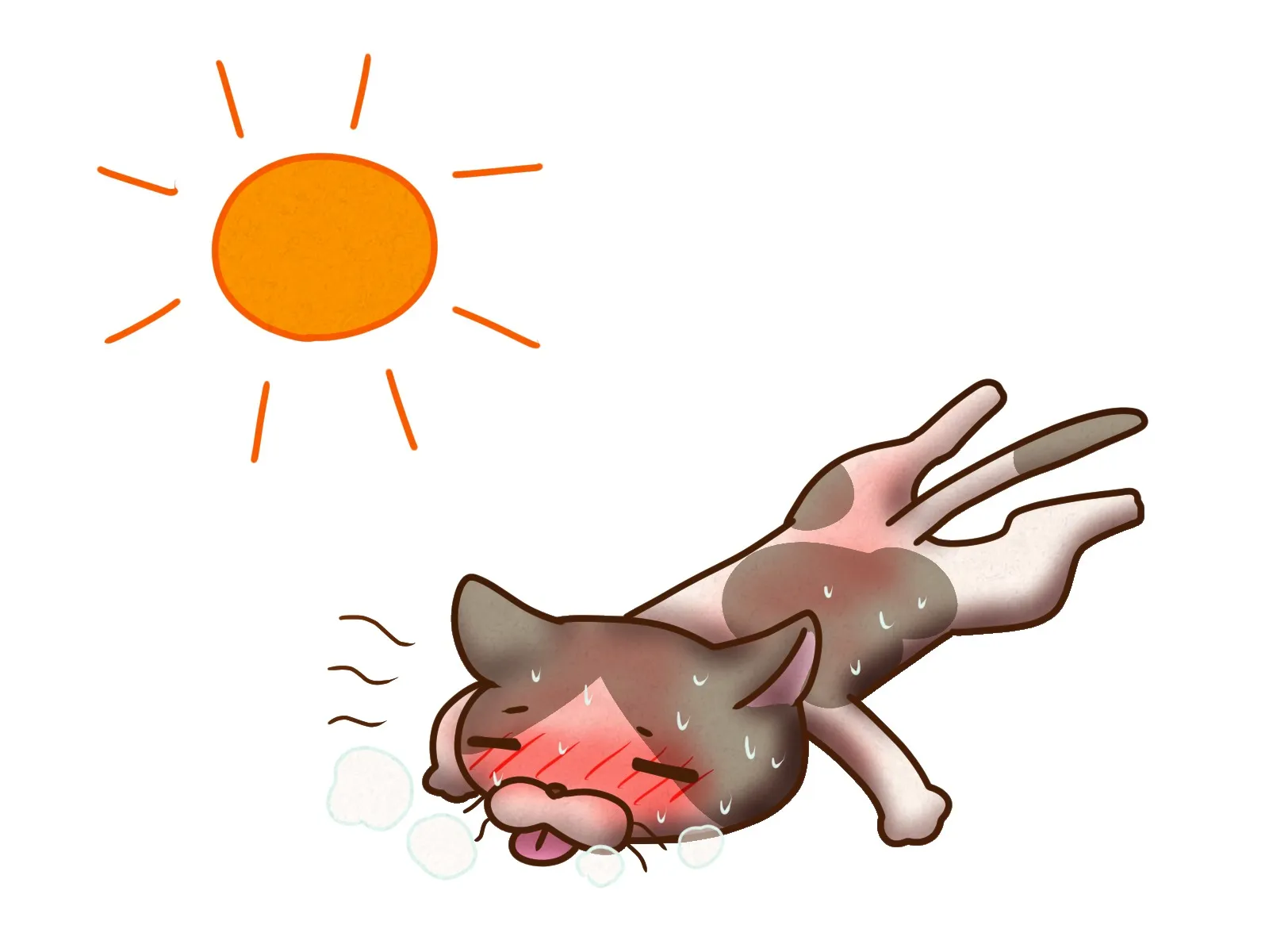 名古屋付近・春日井市開設「訪問看護ステーション ベル」です。