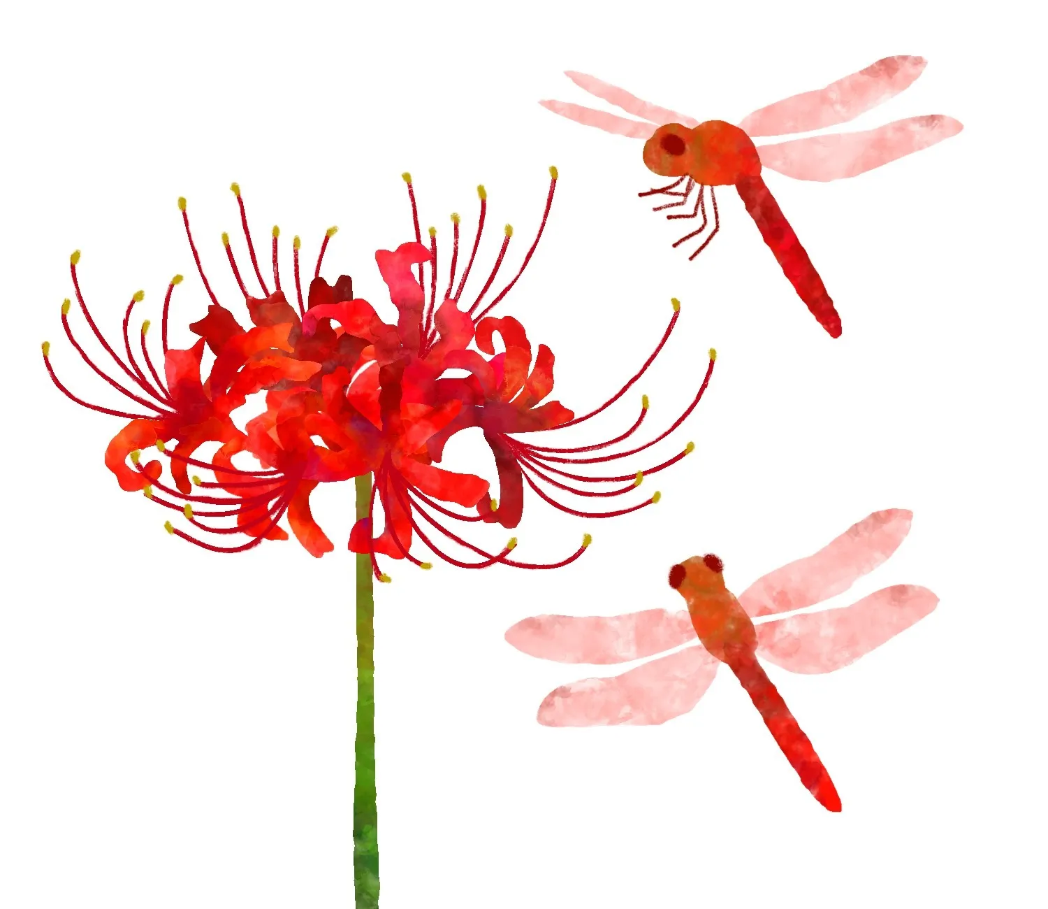 春日井の訪問看護　訪問看護ステーション　ベルです。