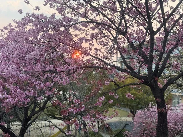 名古屋付近開設の訪問看護ステーション  小児から高齢者まで　幅広く対応します　訪問看護ステーション　ベルです。