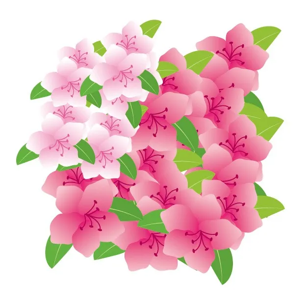 訪問看護を受けるなら　春日井市に開設　訪問看護ステーション ベルです！